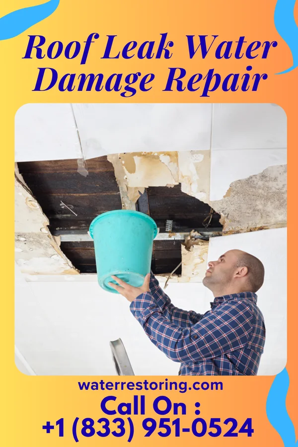 Roof Leak Water Damage Repair in Daphnedale Park, CA