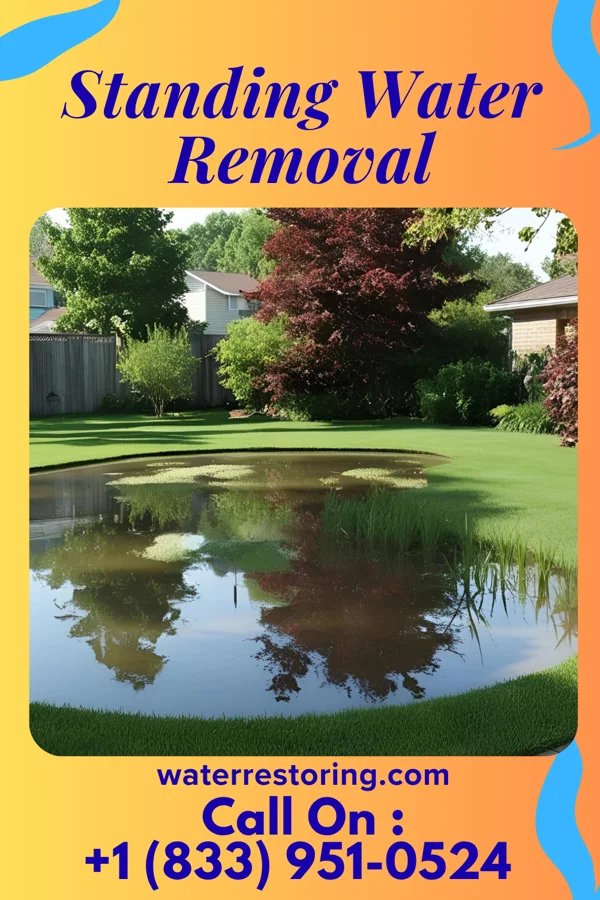 Standing Water Removal in Daphnedale Park, CA